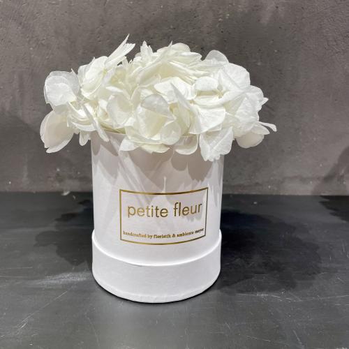 Petite Fleur Flowerbox S Infinity Hortensien in weißer Gold-Edition-Flowerbox 