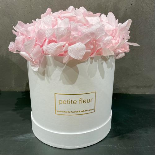 Petite Fleur Flowerbox M Infinity Hortensien in weißer Gold-Edition-Flowerbox 