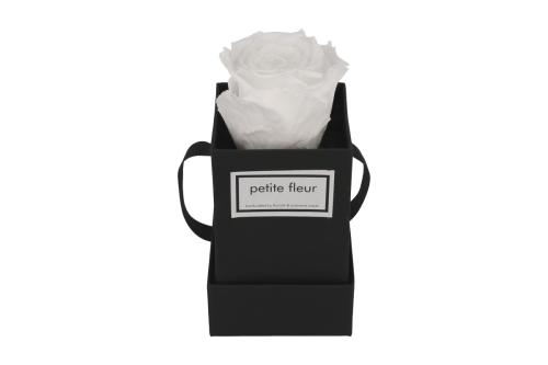 Petite Fleur Flowerbox Infinity Rosen XS quadratisch schwarz mit 1 Rose weiß 