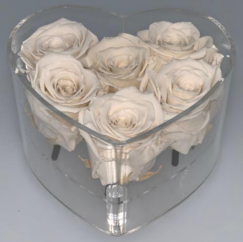 Petite Fleur Flowerbox Herz Acryl S 6 Infinity Rosen ivory 