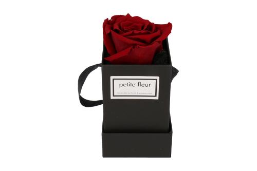 Petite Fleur Flowerbox Infinity Rosen XS quadratisch in Dunkelrot mit 1 Rose 