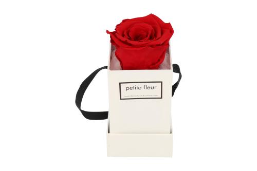 Petite Fleur Flowerbox Infinity Rosen XS quadratisch in Rot mit 1 Rose 