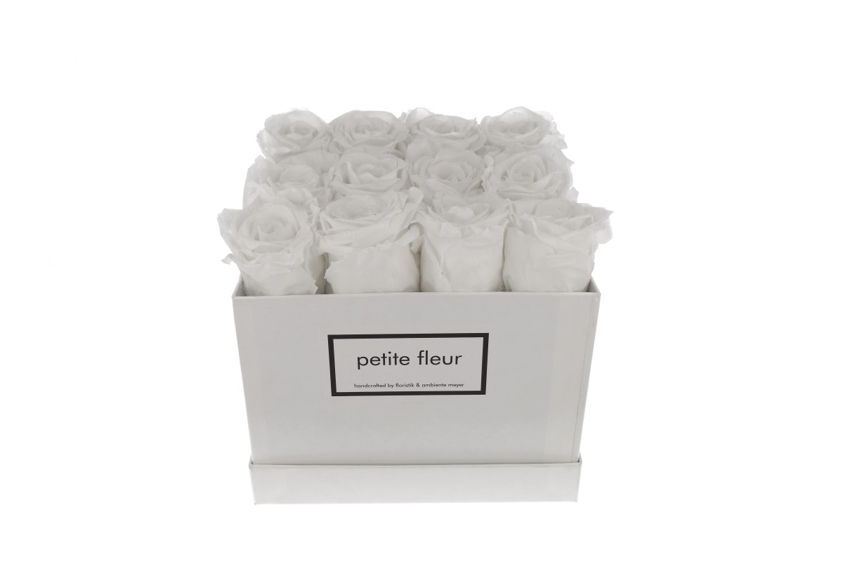 Petite Fleur Flowerbox Infinity Rosen M quadratisch weiß 