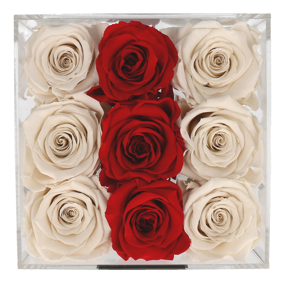 Petite Fleur Flowerbox M quadratisch Acryl 9 Infinity Rosen Ivory Rot 