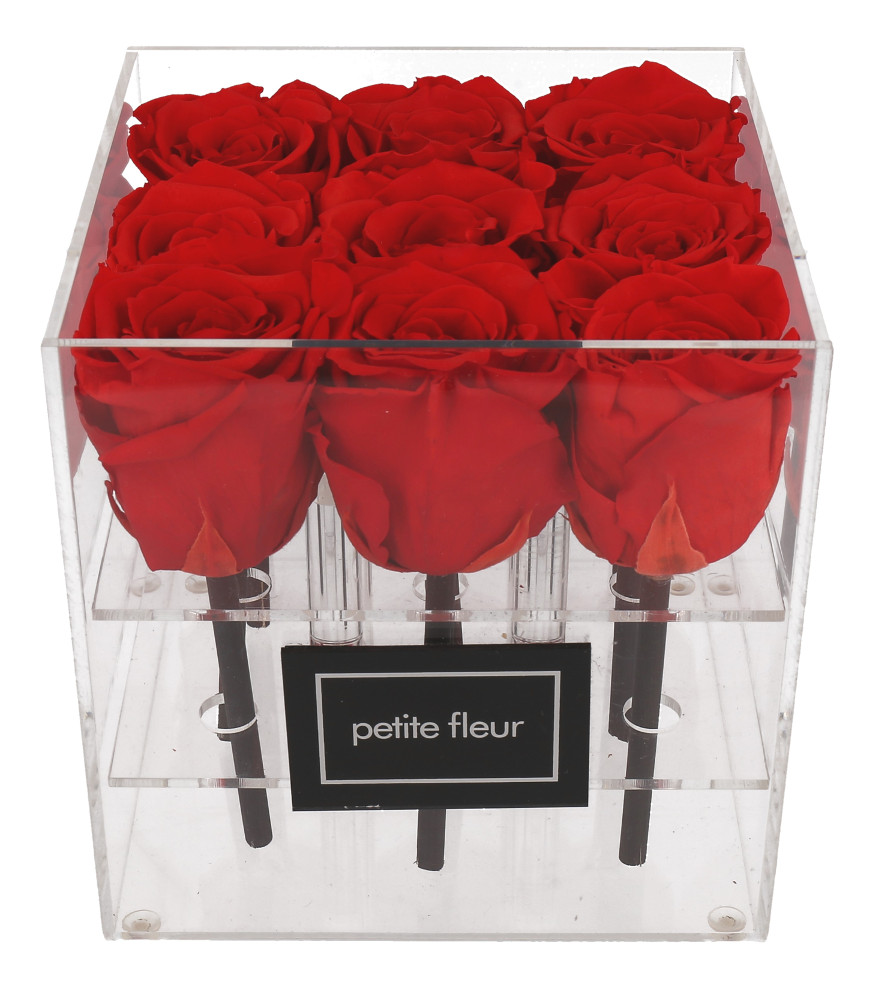 Petite Fleur Flowerbox M quadratisch Acryl 9 Infinity Rosen rot 