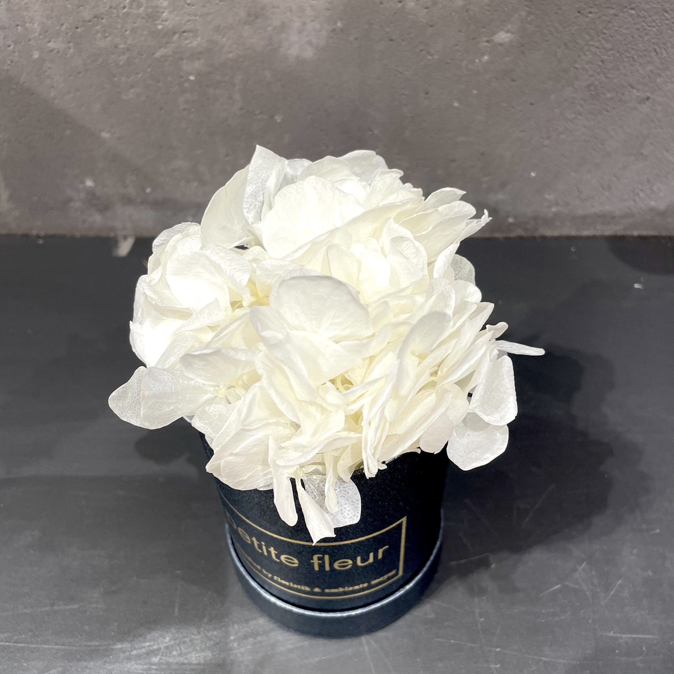 Petite Fleur Flowerbox XS Infinity Hortensien in black-satin Gold-Edition-Flowerbox 