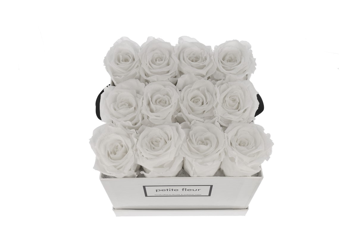 Petite Fleur Flowerbox Infinity Rosen M quadratisch weiß 
