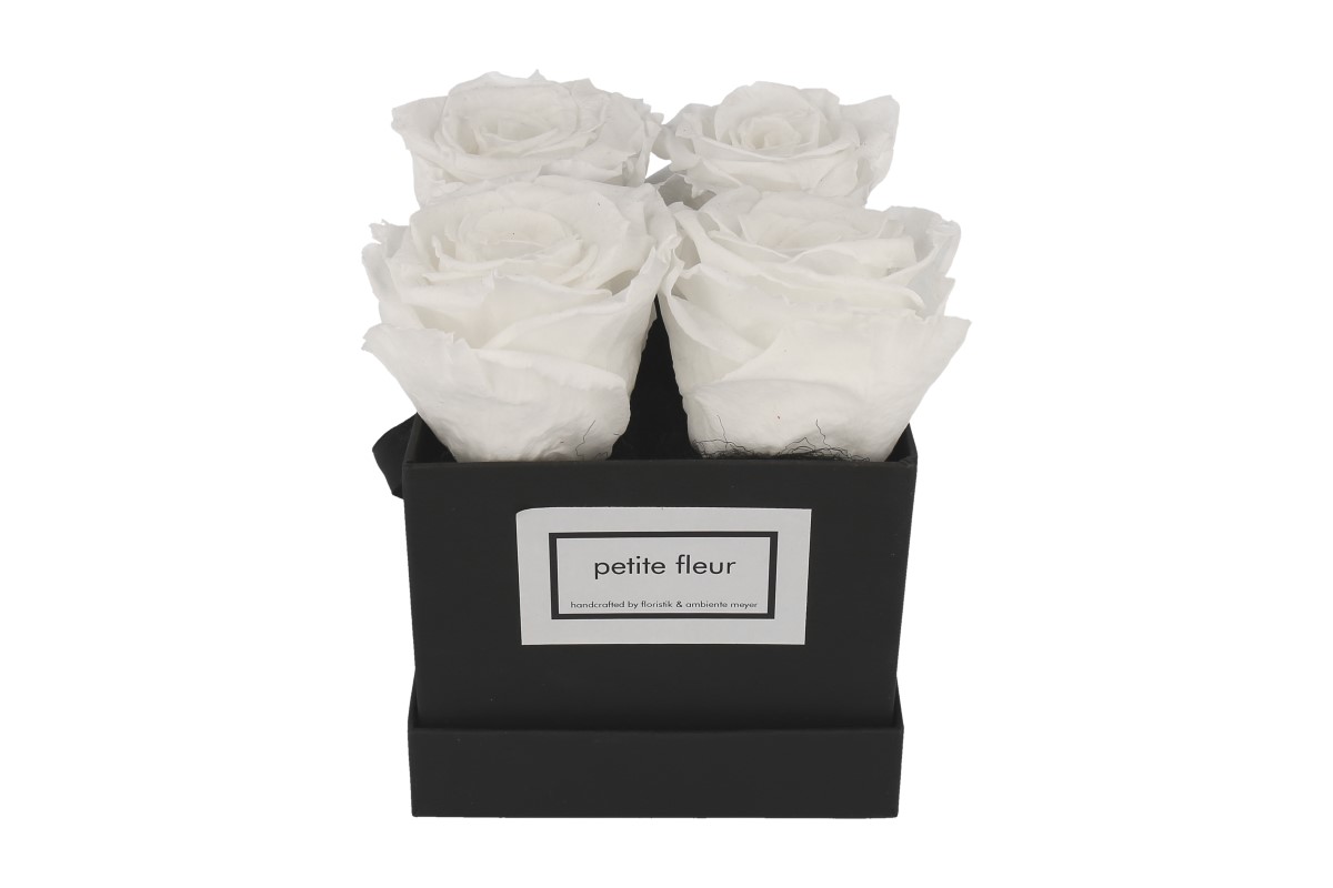 Petite Fleur Flowerbox Infinity Rosen S quadratisch schwarz mit 4-5 Rosen weiß 