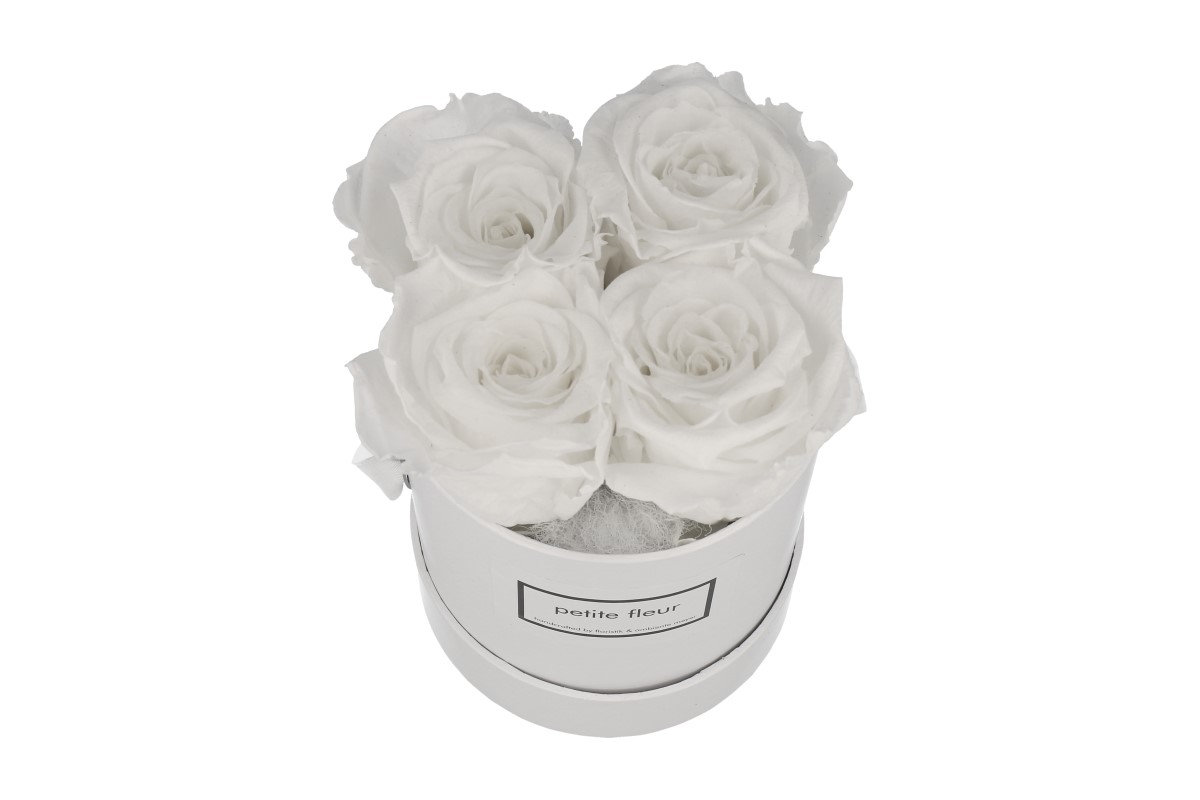 Petite Fleur Flowerbox Infinity Rosen S rund weiß 
