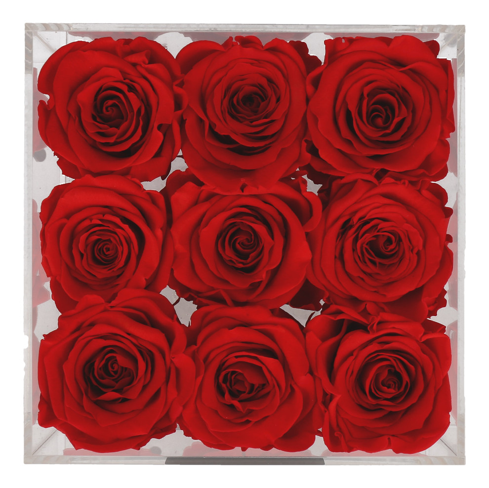 Petite Fleur Flowerbox M quadratisch Acryl 9 Infinity Rosen rot 