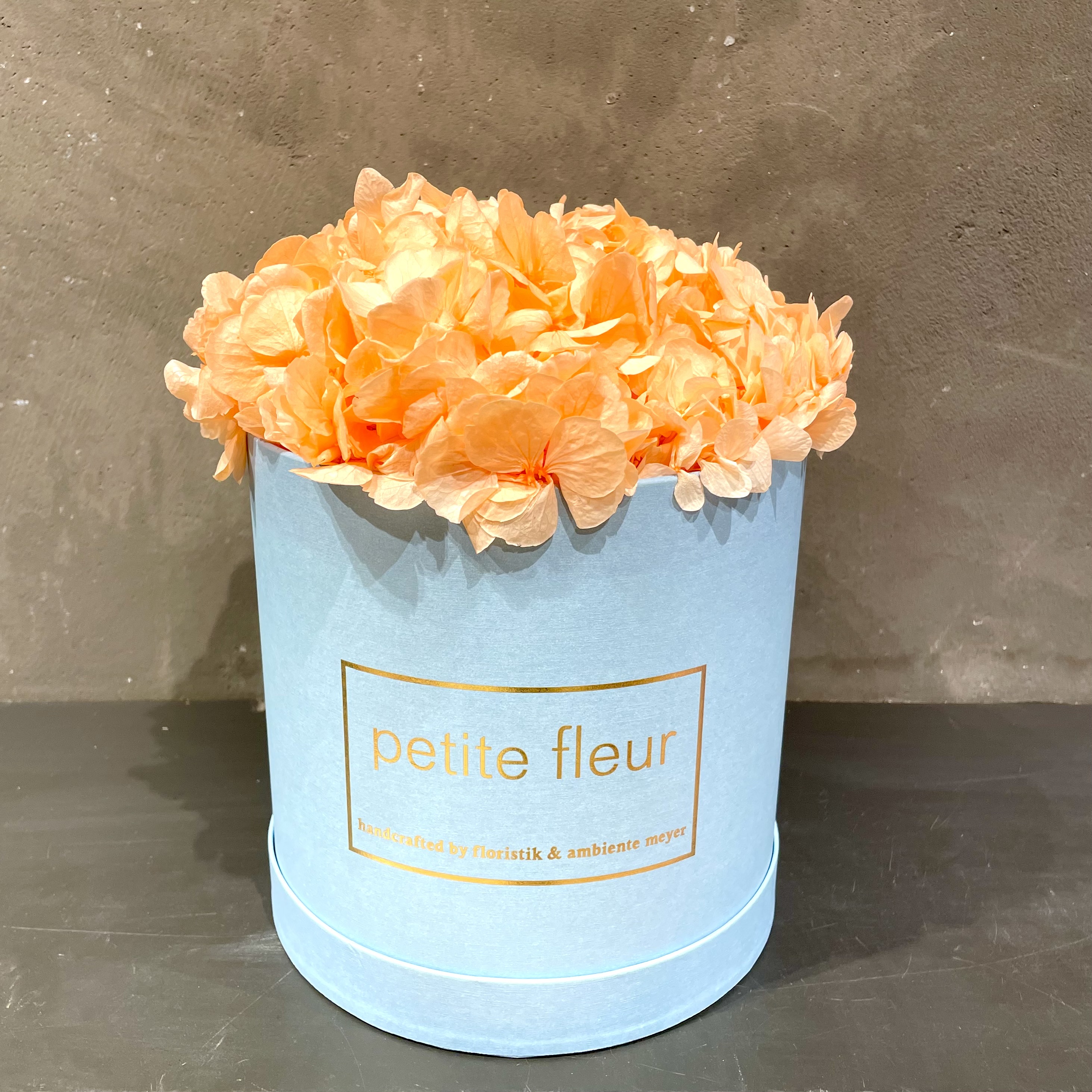 Petite Fleur Flowerbox L Infinity Hortensien in blue Gold-Edition-Flowerbox 