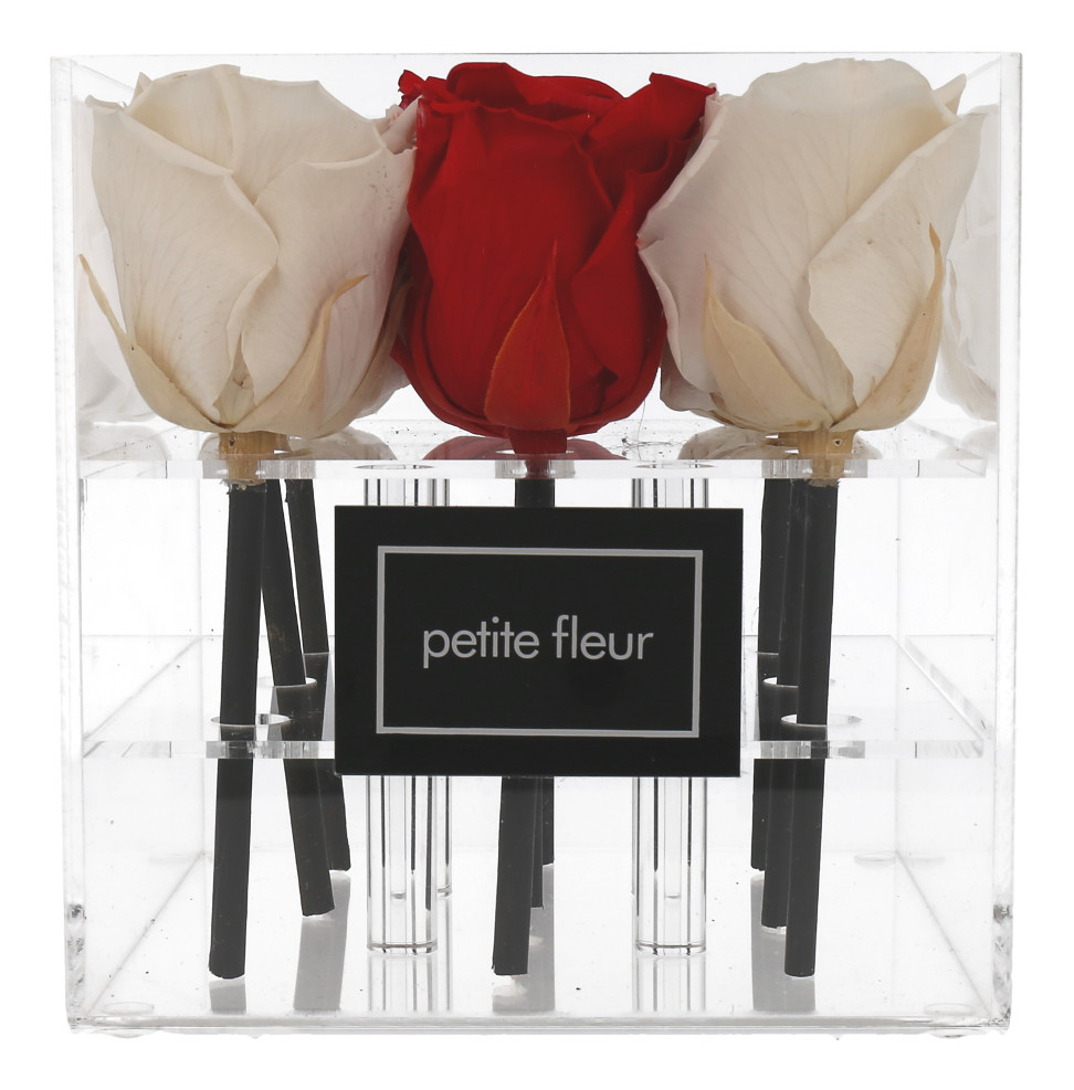 Petite Fleur Flowerbox M quadratisch Acryl 9 Infinity Rosen Ivory Rot 