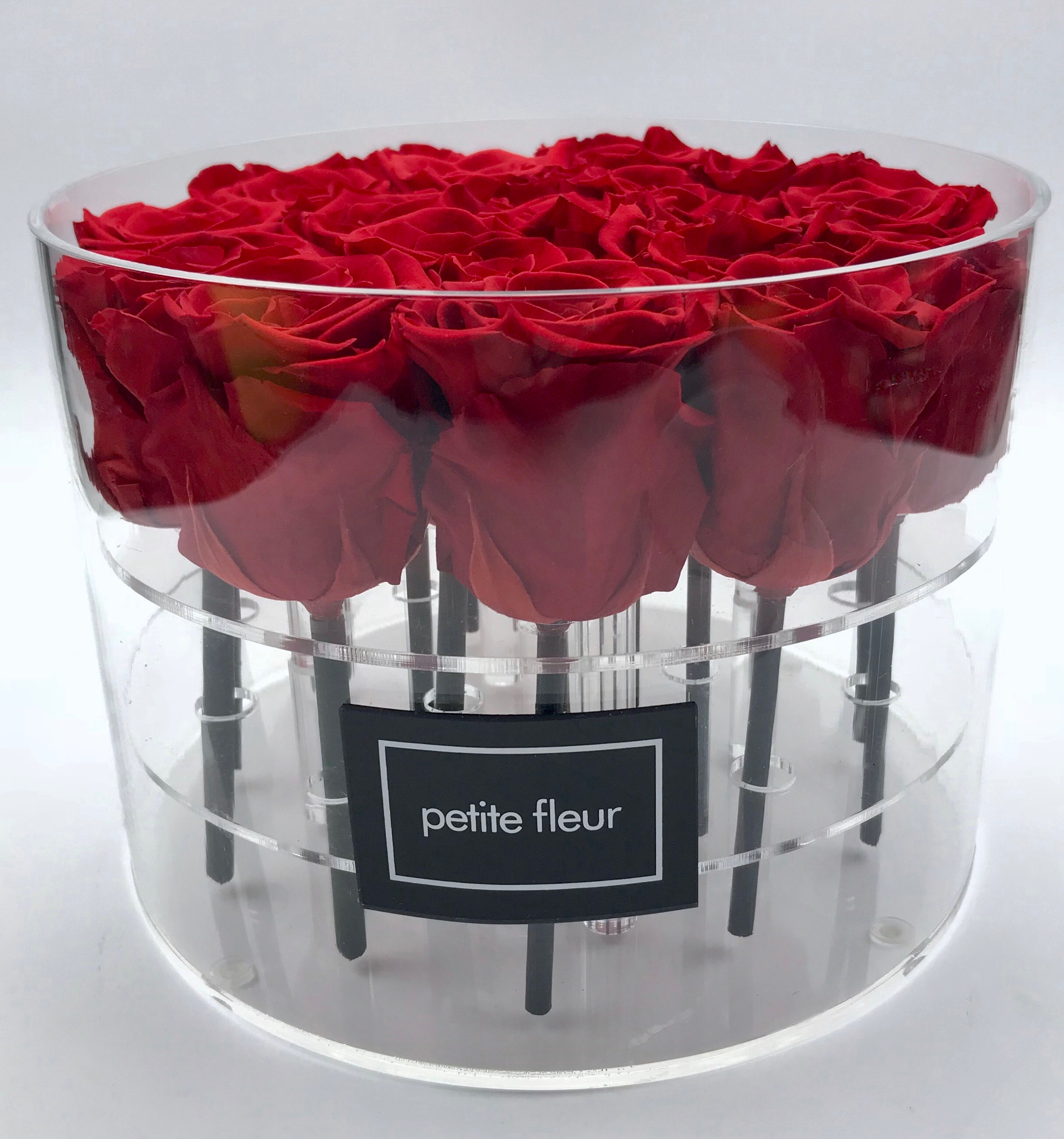 Petite Fleur Flowerbox L rund  Acryl 16 Infinity Rosen rot 