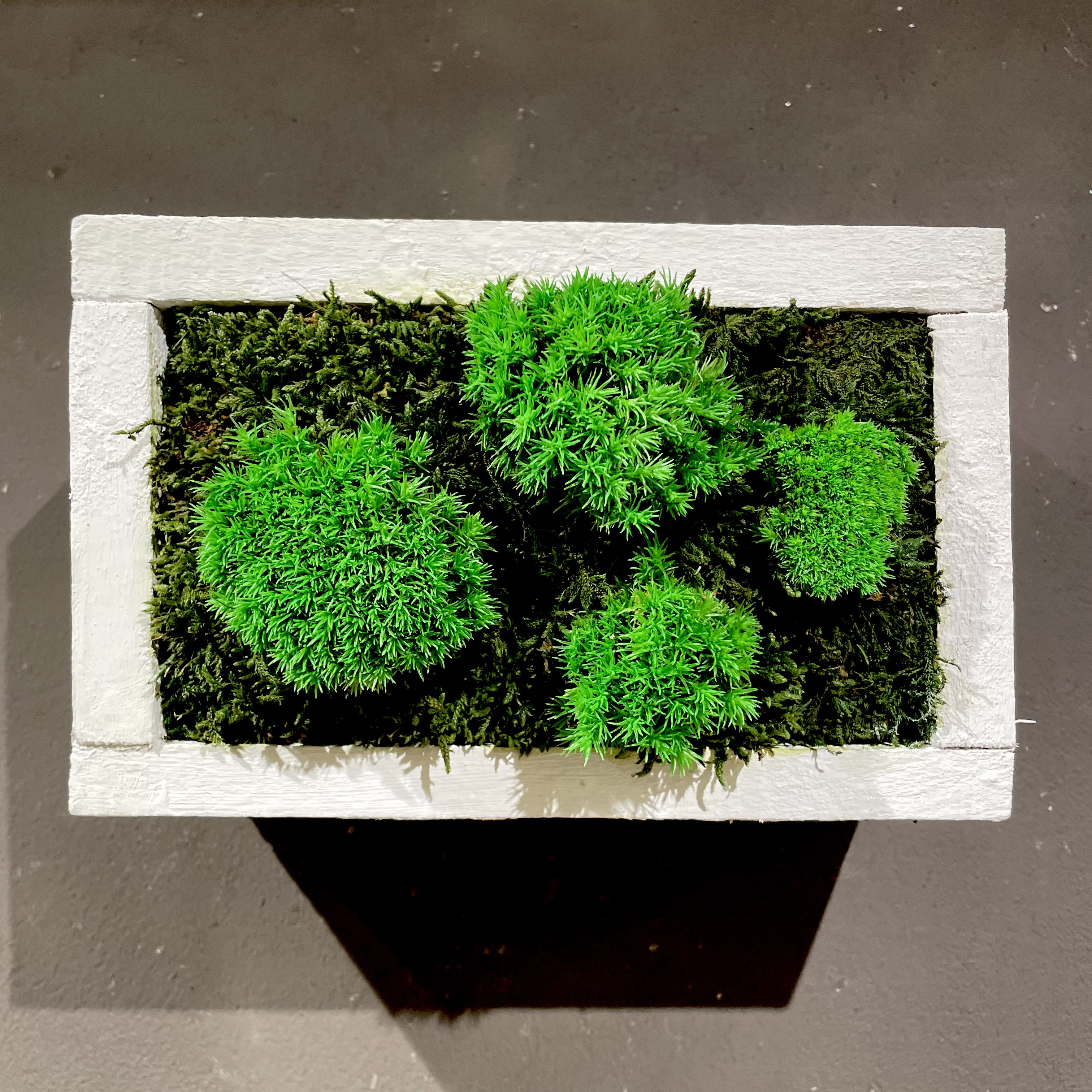 Moosbild mit Vintage-Rahmen 