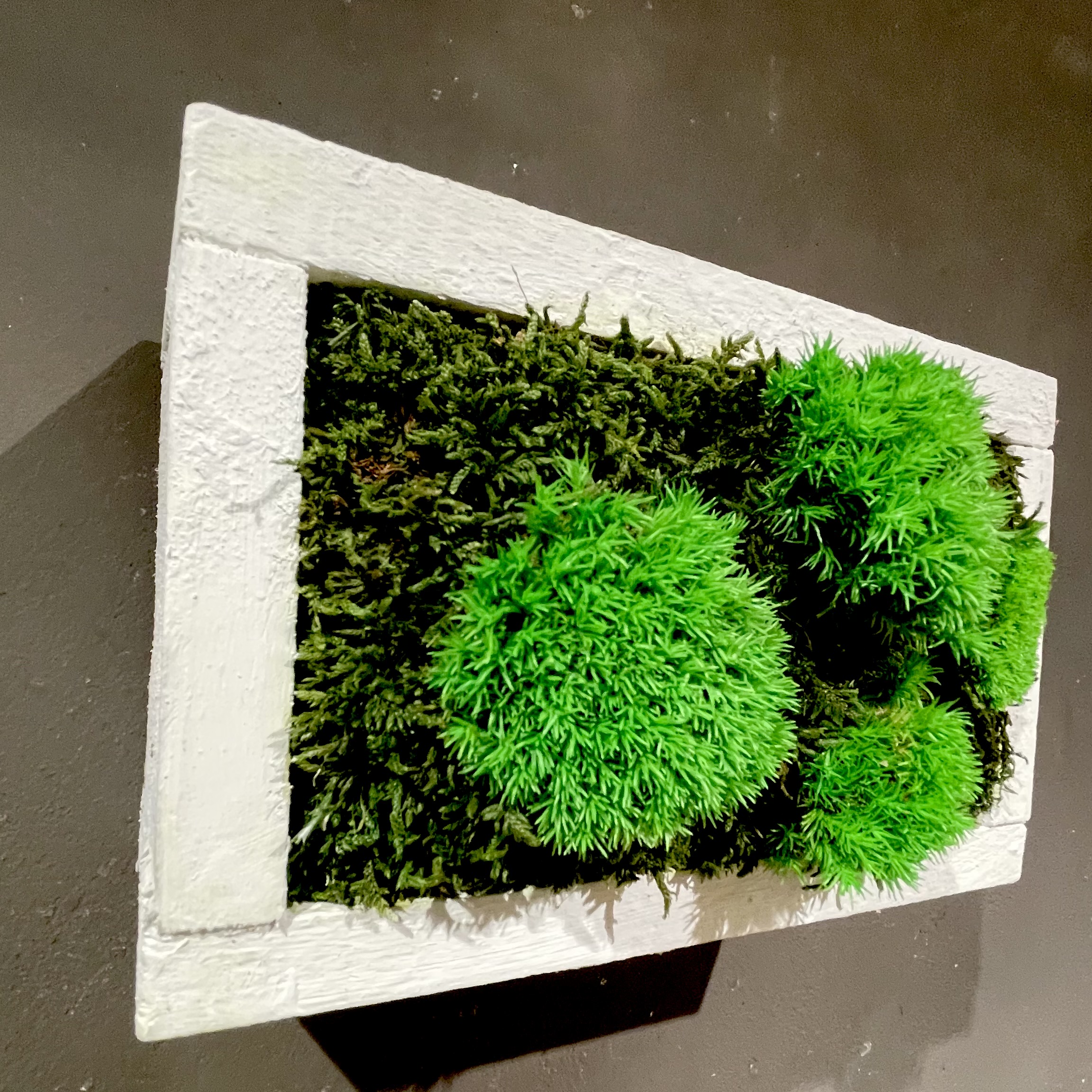 Moosbild mit Vintage-Rahmen 